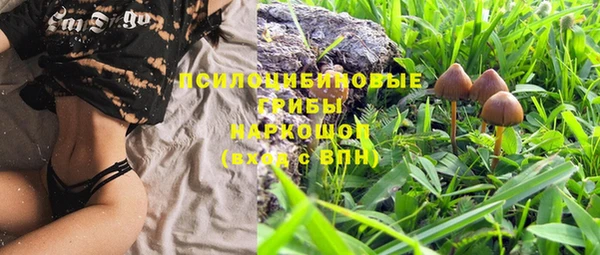 шишки Красноперекопск
