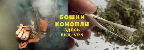 шишки Осташков