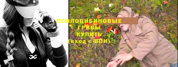 МДПВ Краснослободск