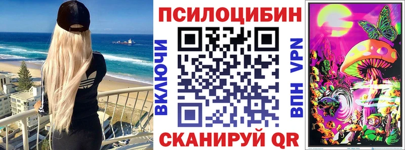 Псилоцибиновые грибы Psilocybine cubensis  закладки  Таруса 